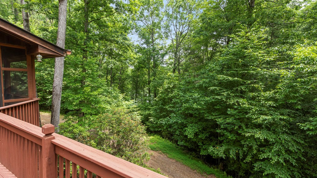 545 Bear Paw Church Road