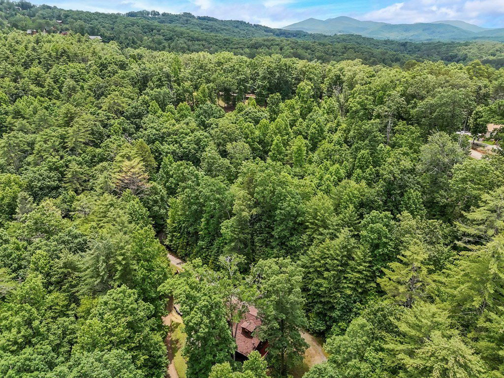 545 Bear Paw Church Road
