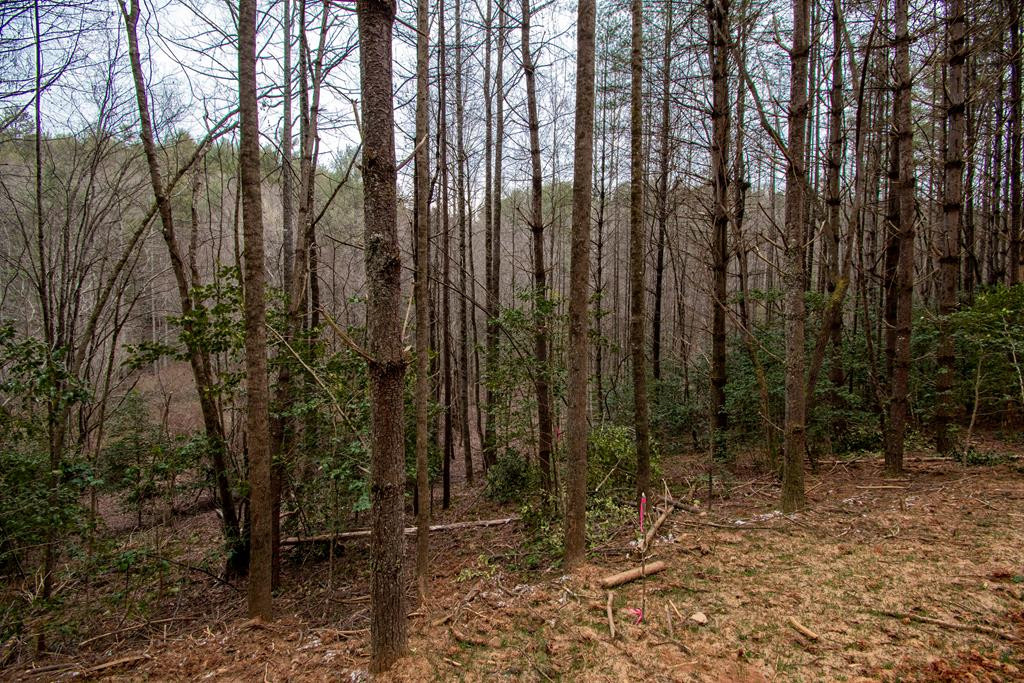 00 Hiwassee Creek Estates