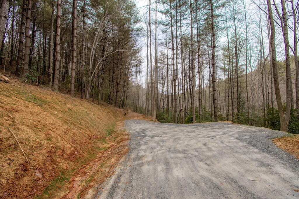 00 Hiwassee Creek Estates