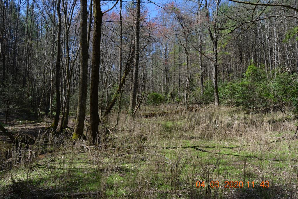 00 Hiwassee Creek Estates