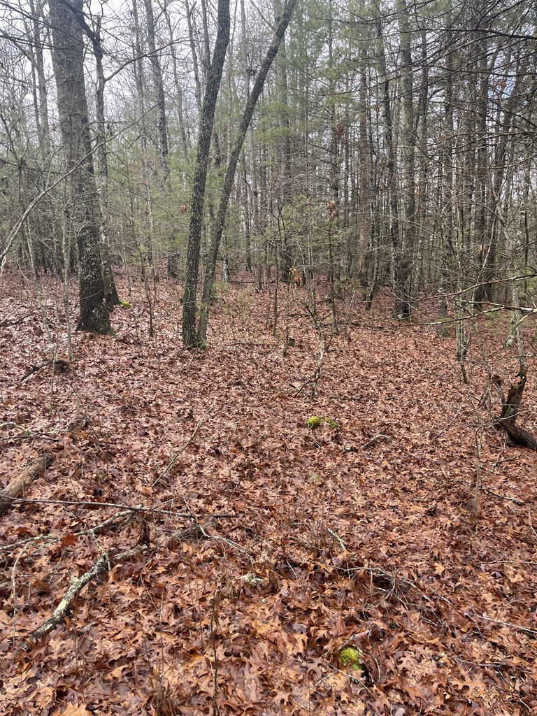 Lot 17 Sunny Point Ridge
