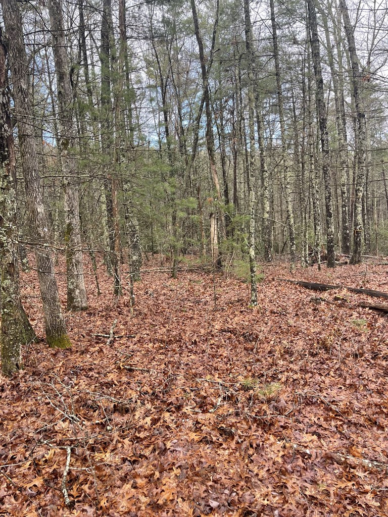 Lot 17 Sunny Point Ridge