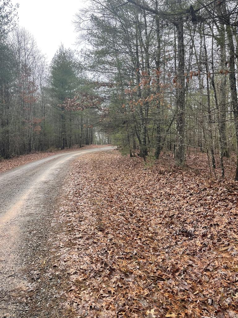 Lot 17 Sunny Point Ridge