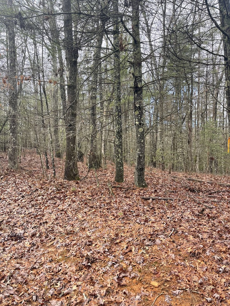 Lot 17 Sunny Point Ridge