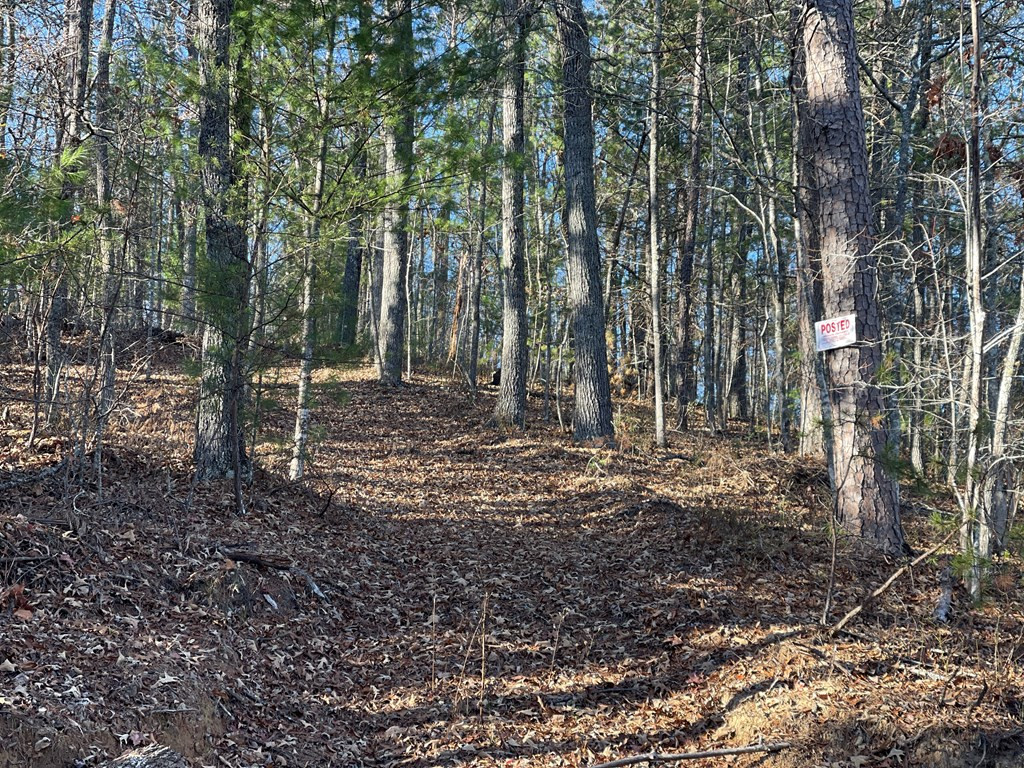 0 Laurel Branch Road