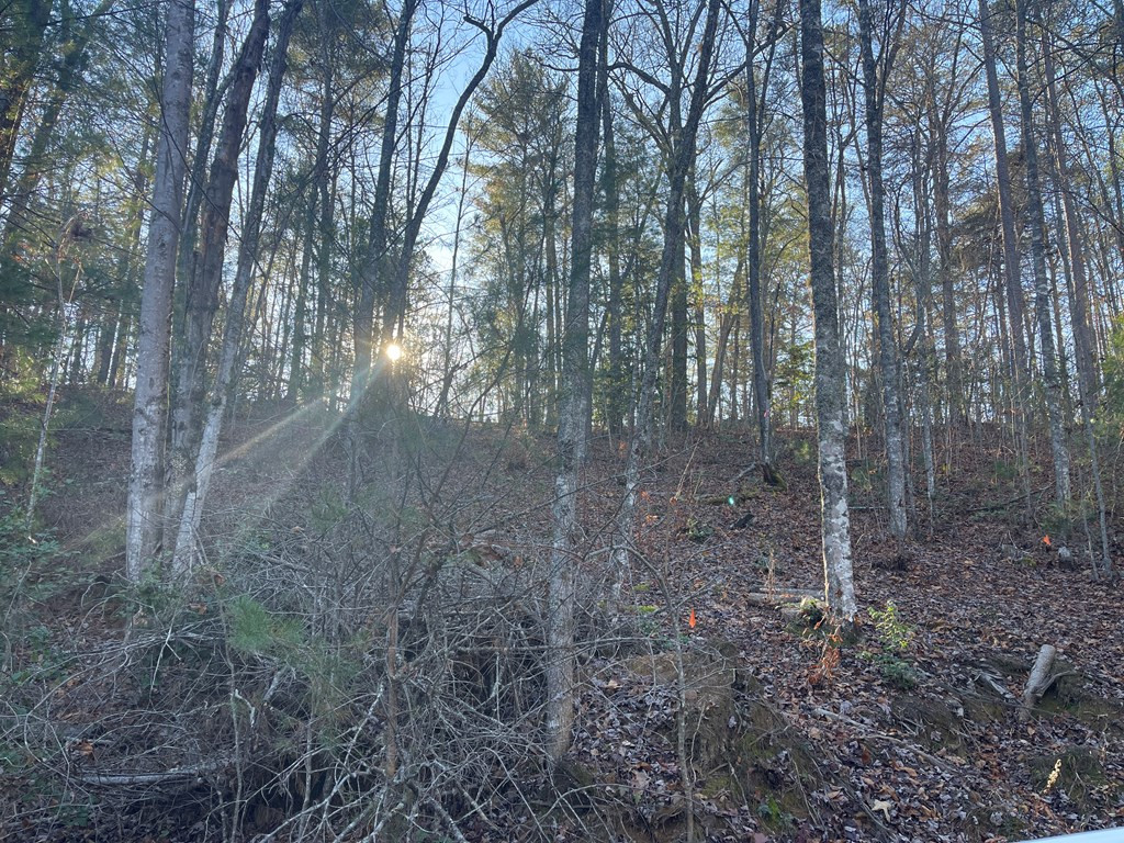 0 Laurel Branch Road