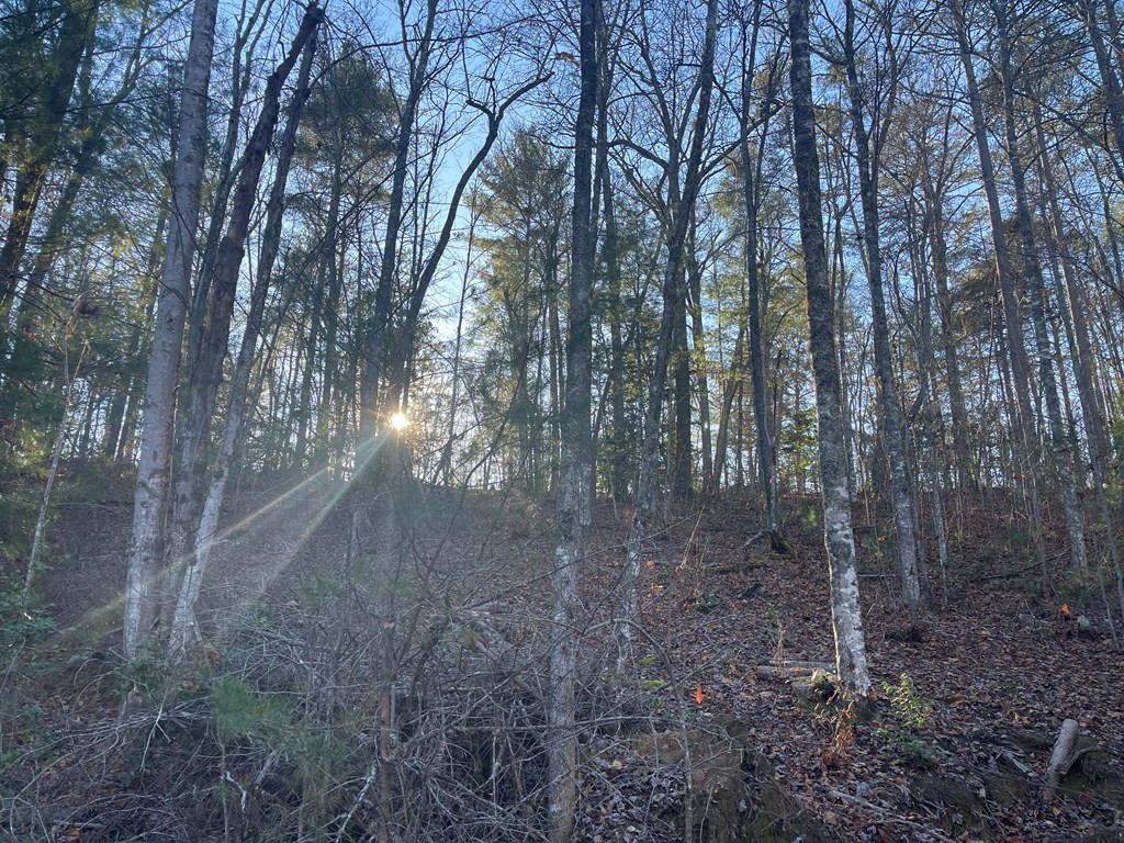0 Laurel Branch Road