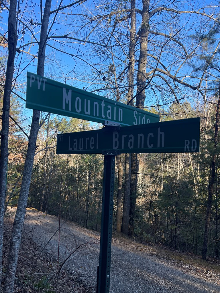 0 Laurel Branch Road