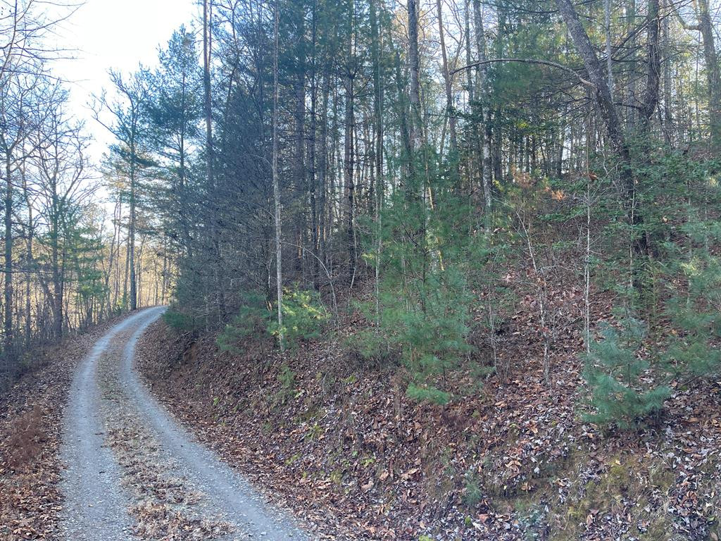 0 Laurel Branch Road