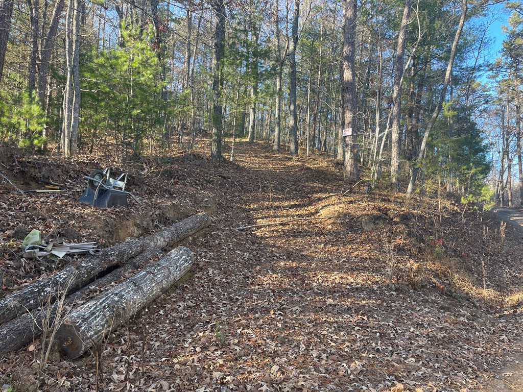 0 Laurel Branch Road