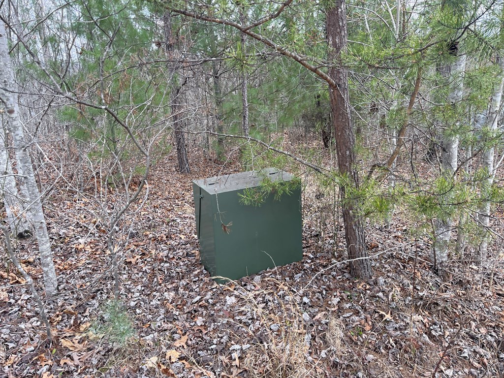 56 & 58 Paw Paw Trail