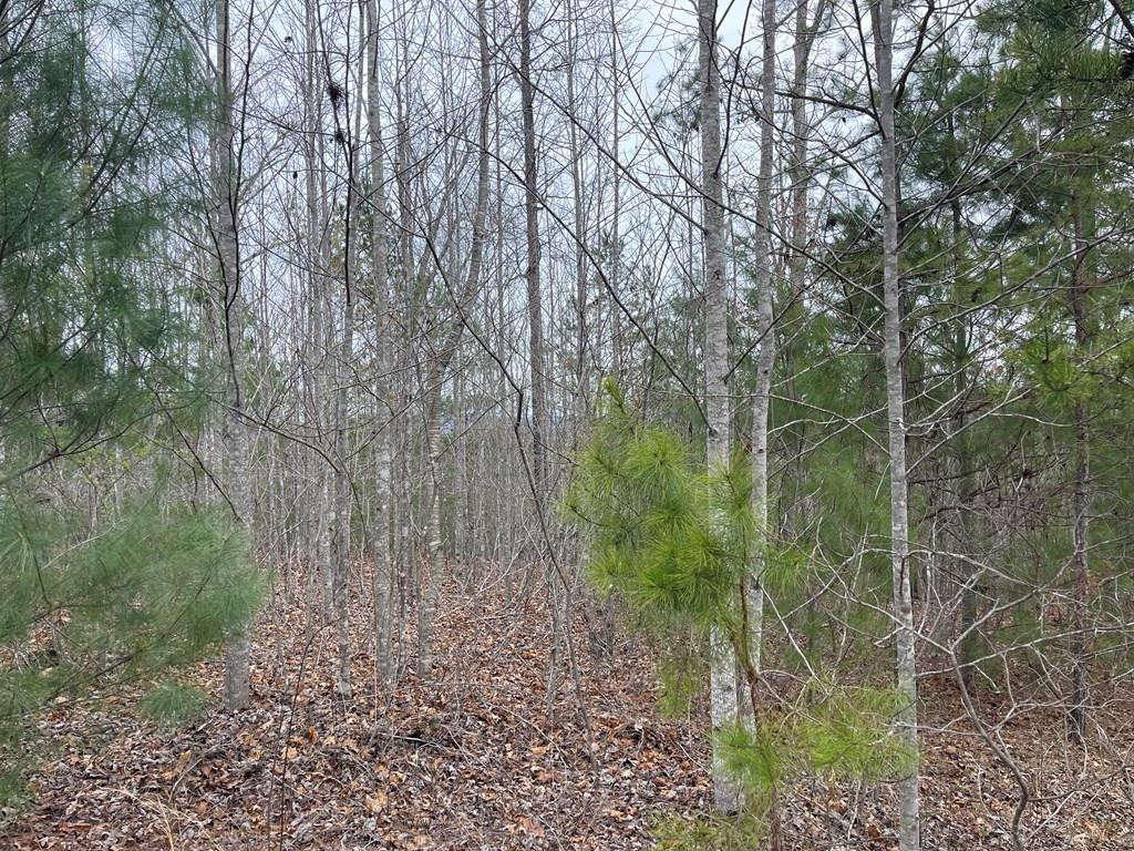 56 & 58 Paw Paw Trail
