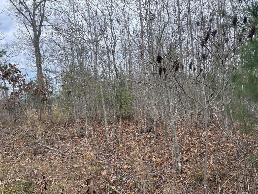 56 & 58 Paw Paw Trail