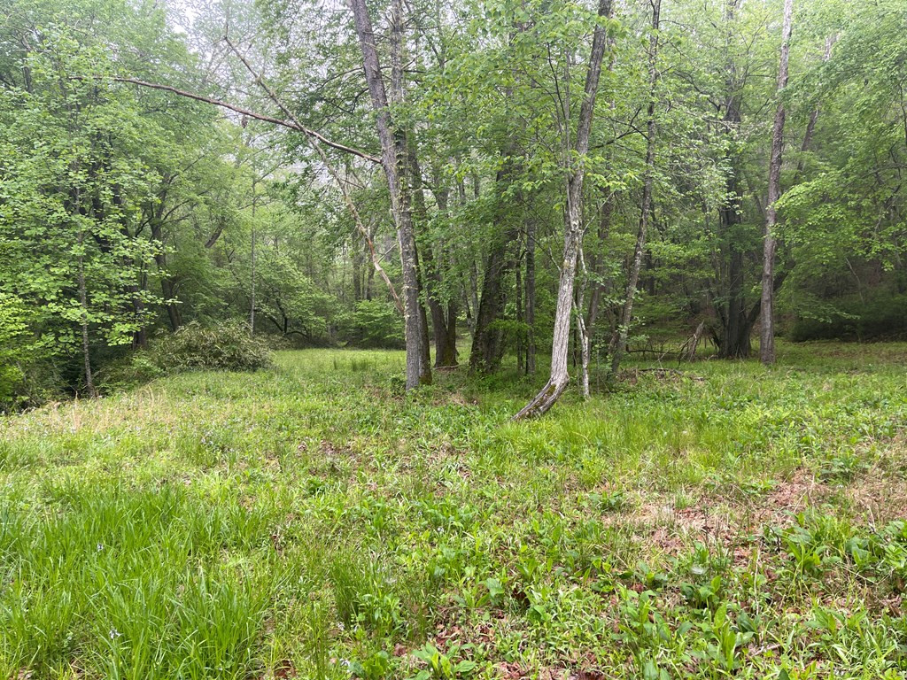 000 Old Johnson Road