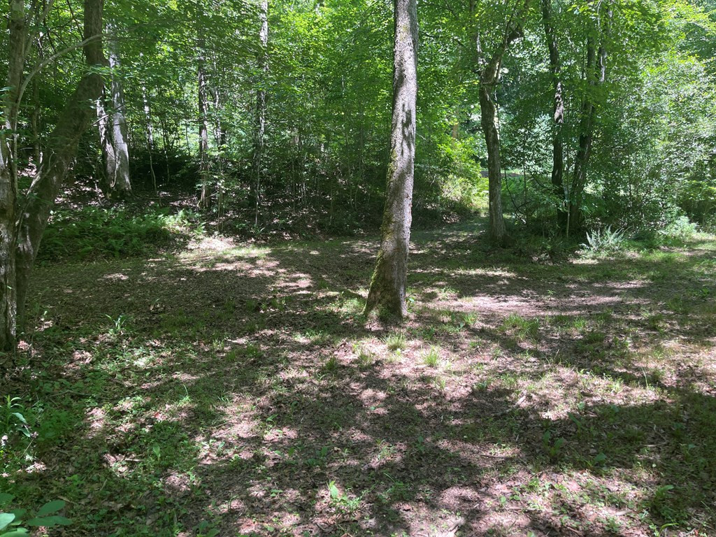000 Old Johnson Road