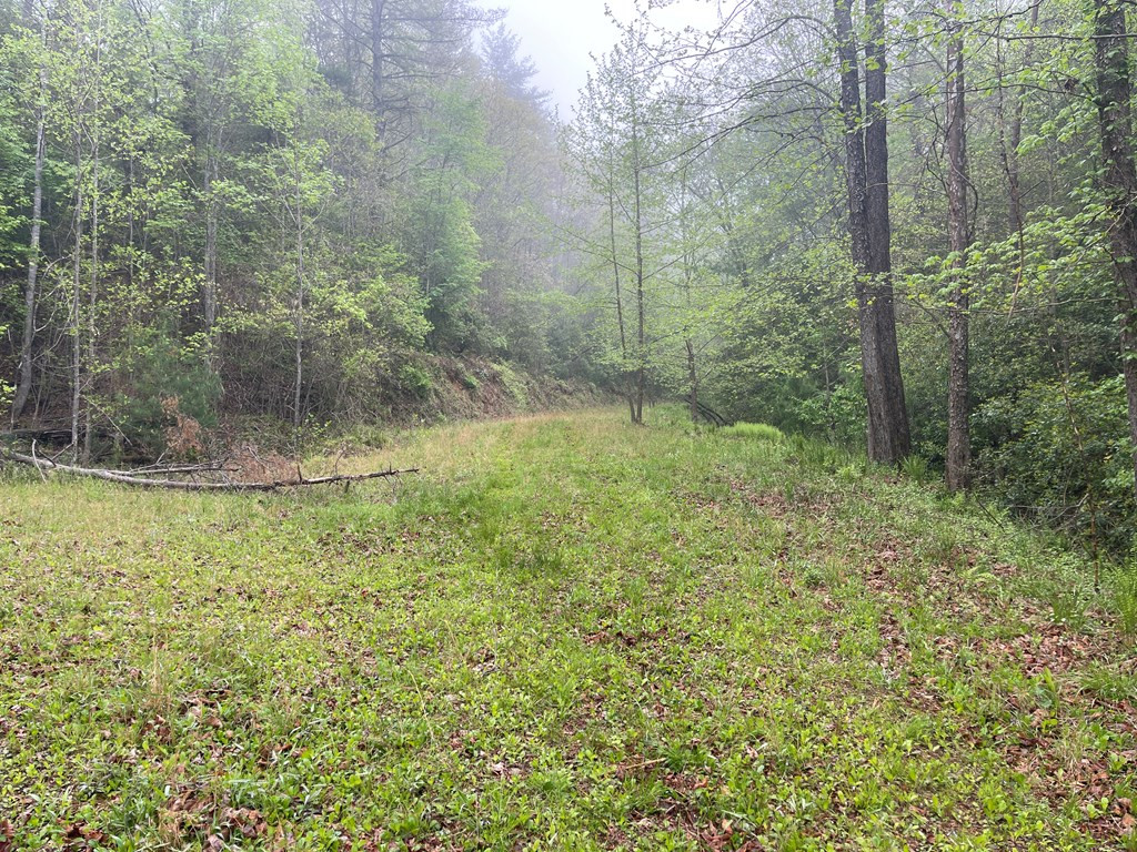 000 Old Johnson Road