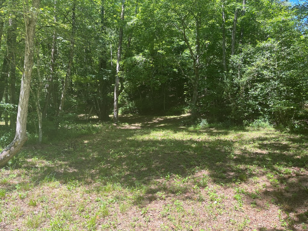 000 Old Johnson Road