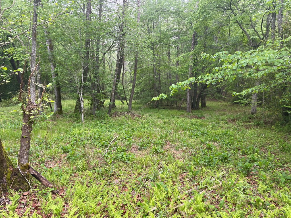 000 Old Johnson Road