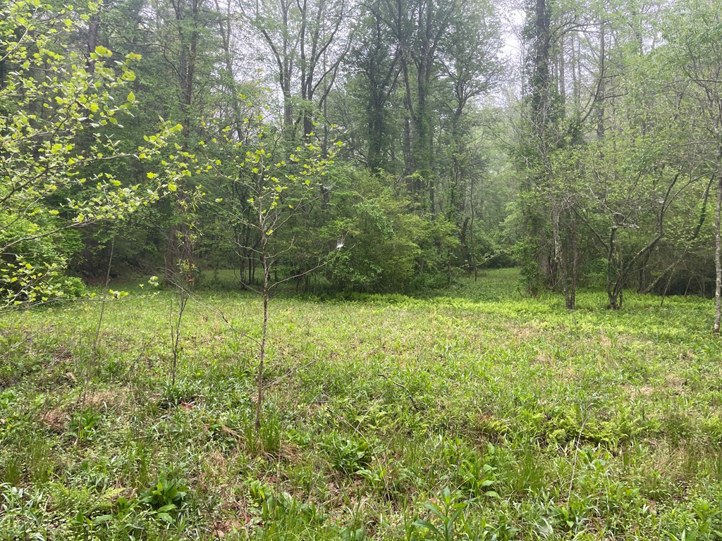 000 Old Johnson Road