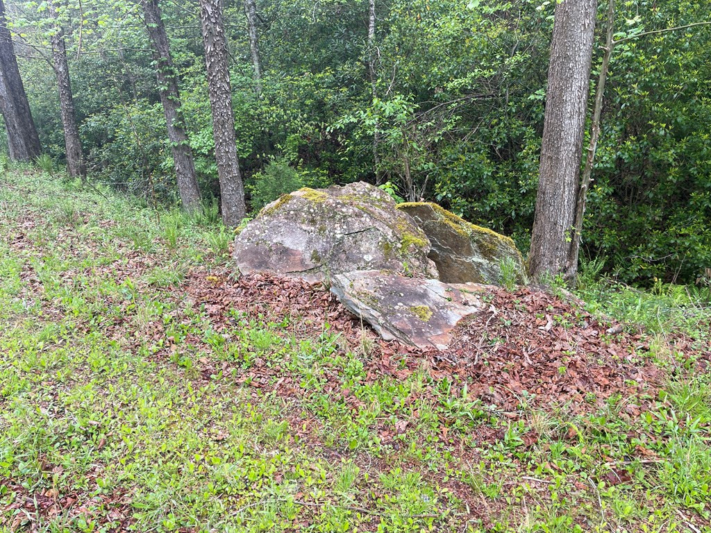 000 Old Johnson Road