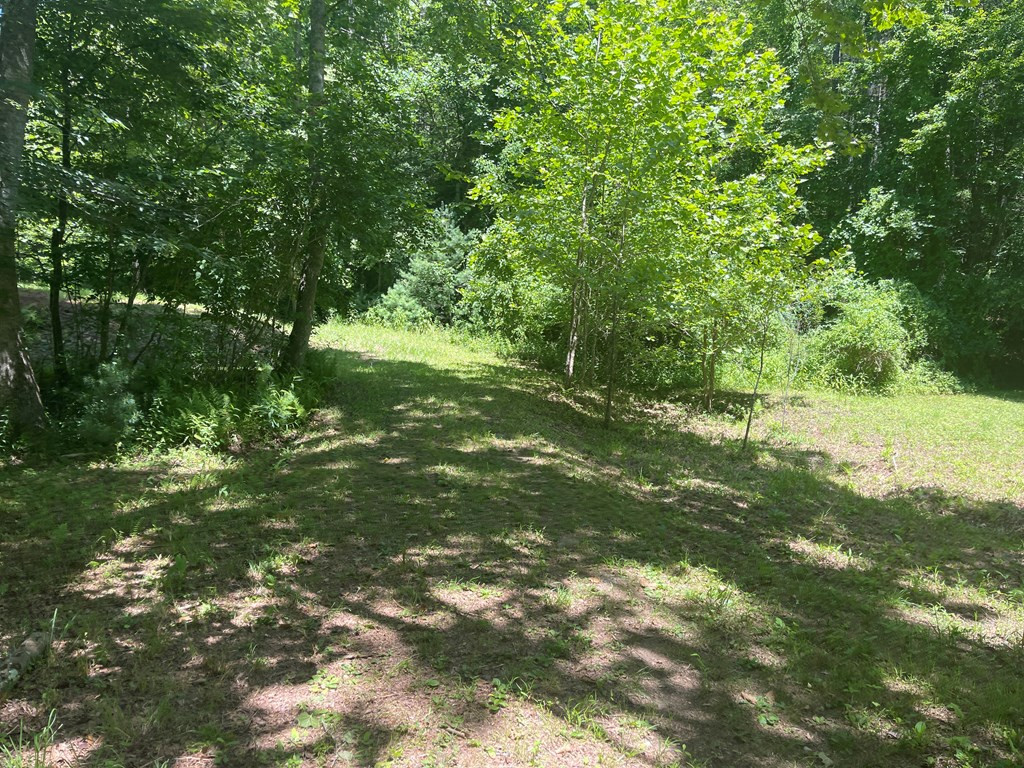 000 Old Johnson Road