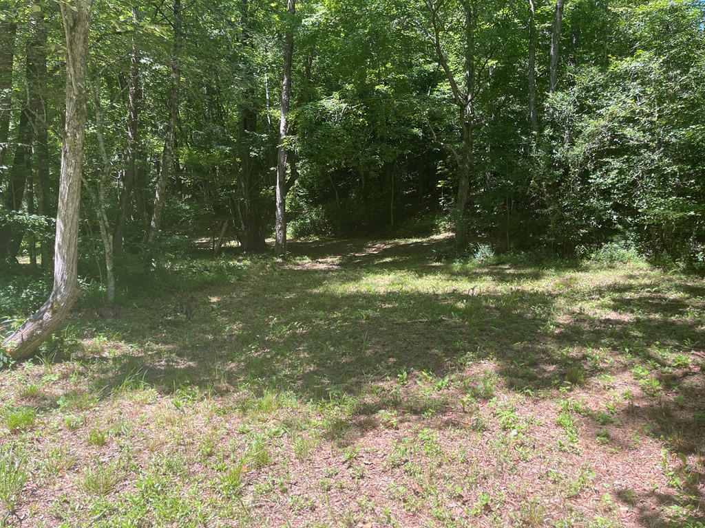 000 Old Johnson Road