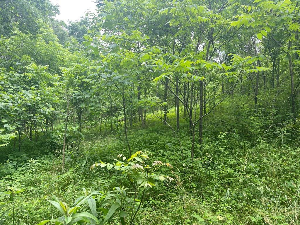 0000 Hidden Hill Farm