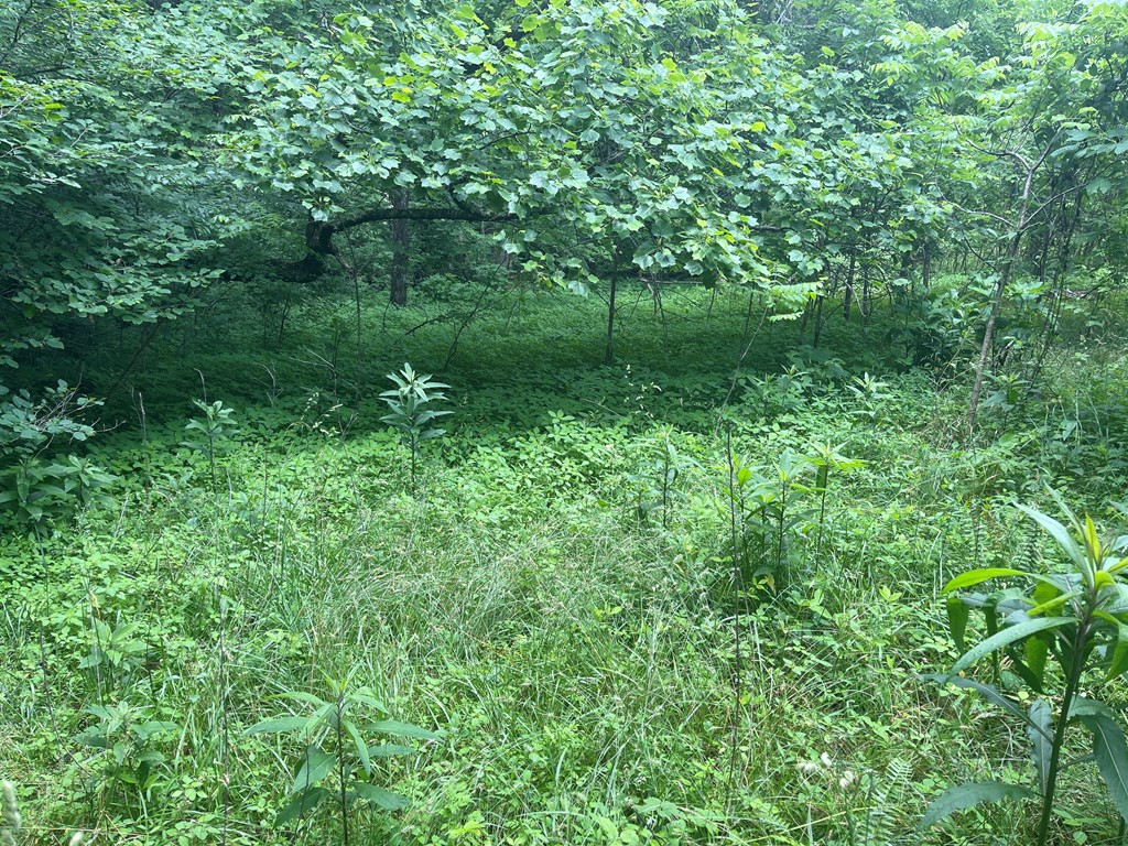 0000 Hidden Hill Farm