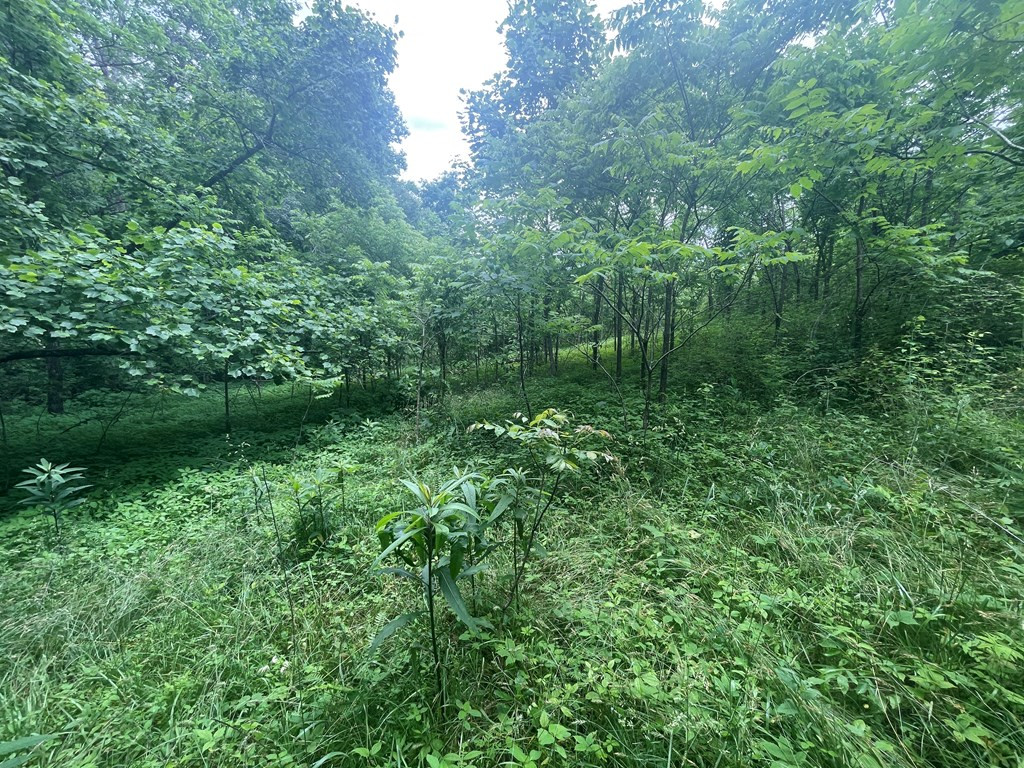 0000 Hidden Hill Farm