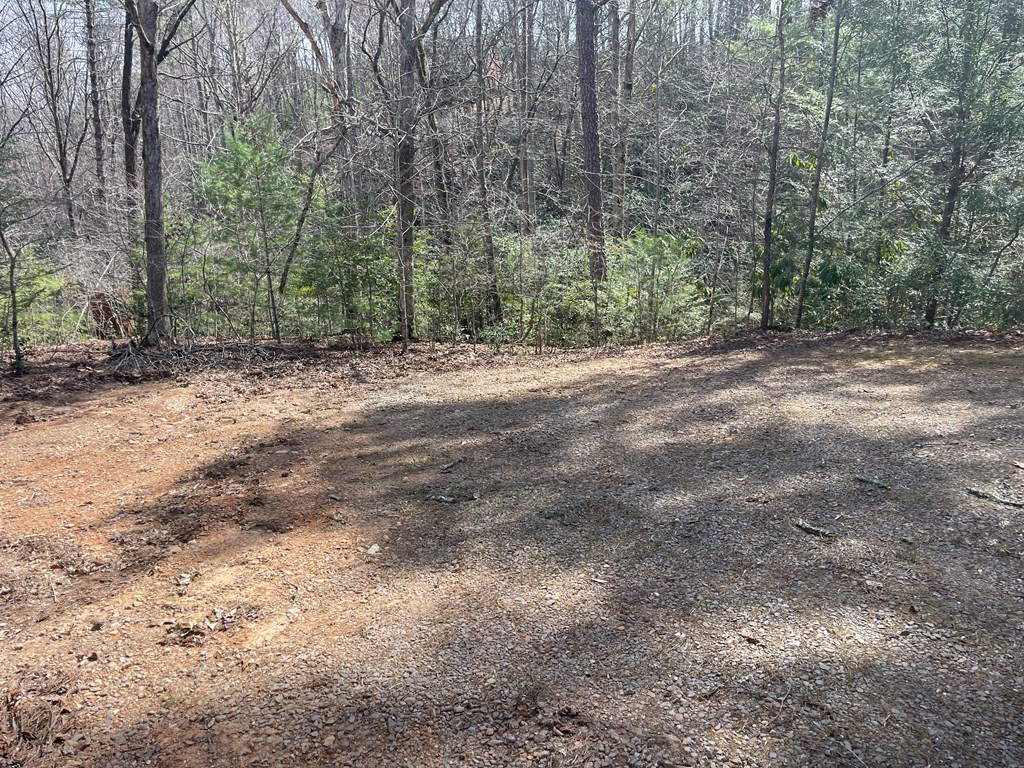 0 Chinquapin Lane