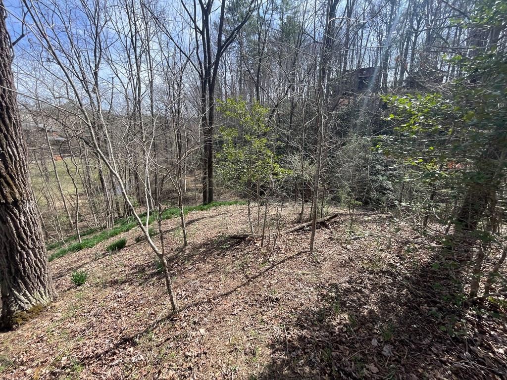0 Chinquapin Lane