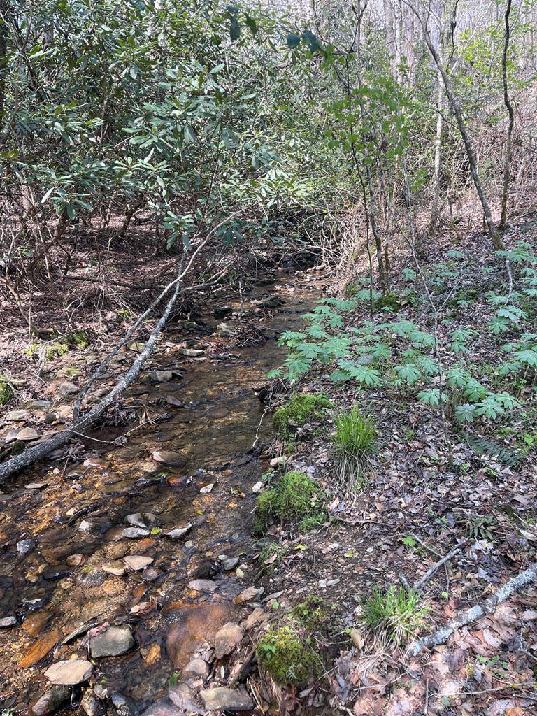 0 Chinquapin Lane