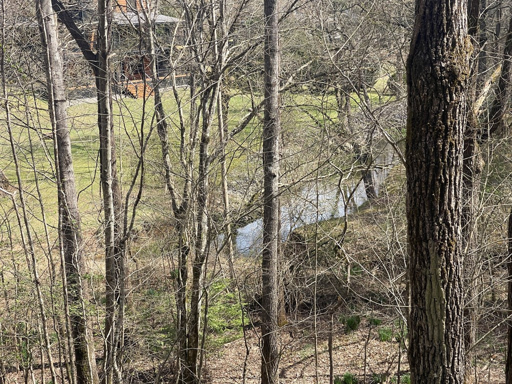 0 Chinquapin Lane