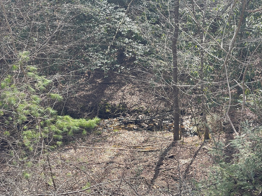 0 Chinquapin Lane