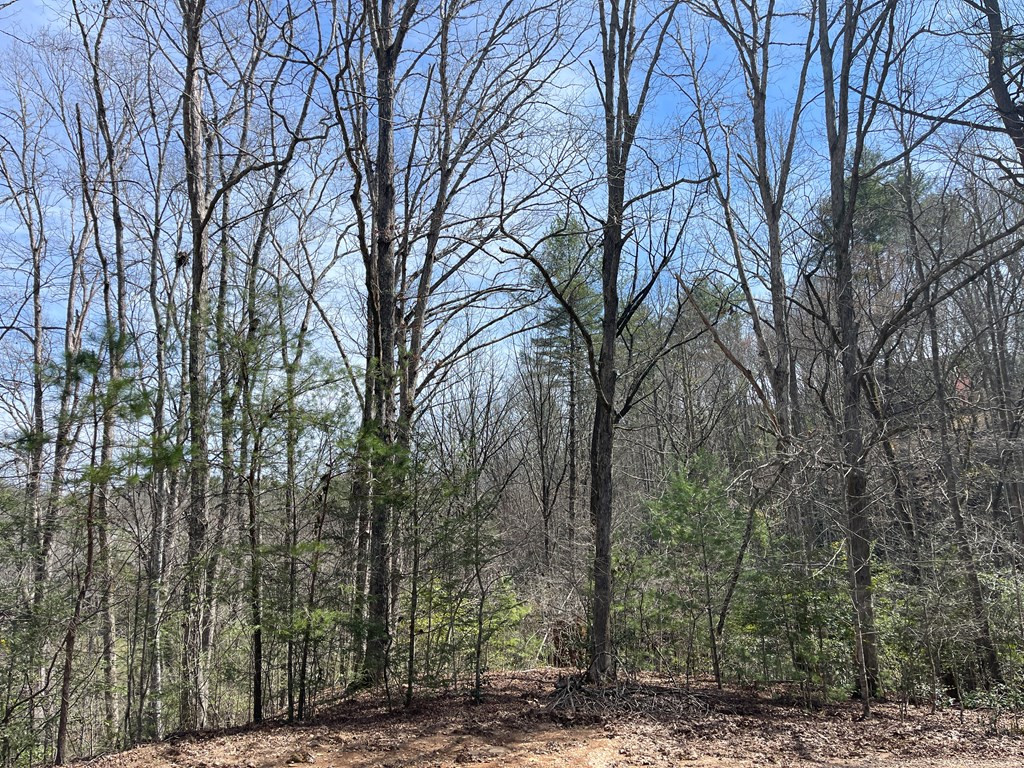 0 Chinquapin Lane
