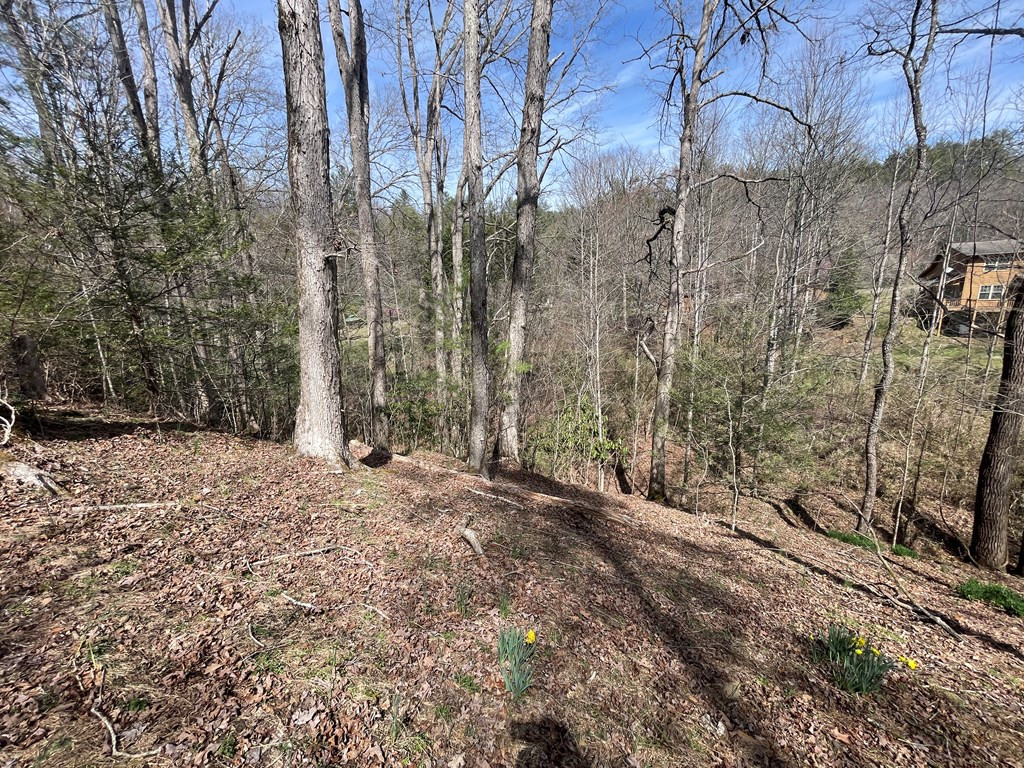 0 Chinquapin Lane