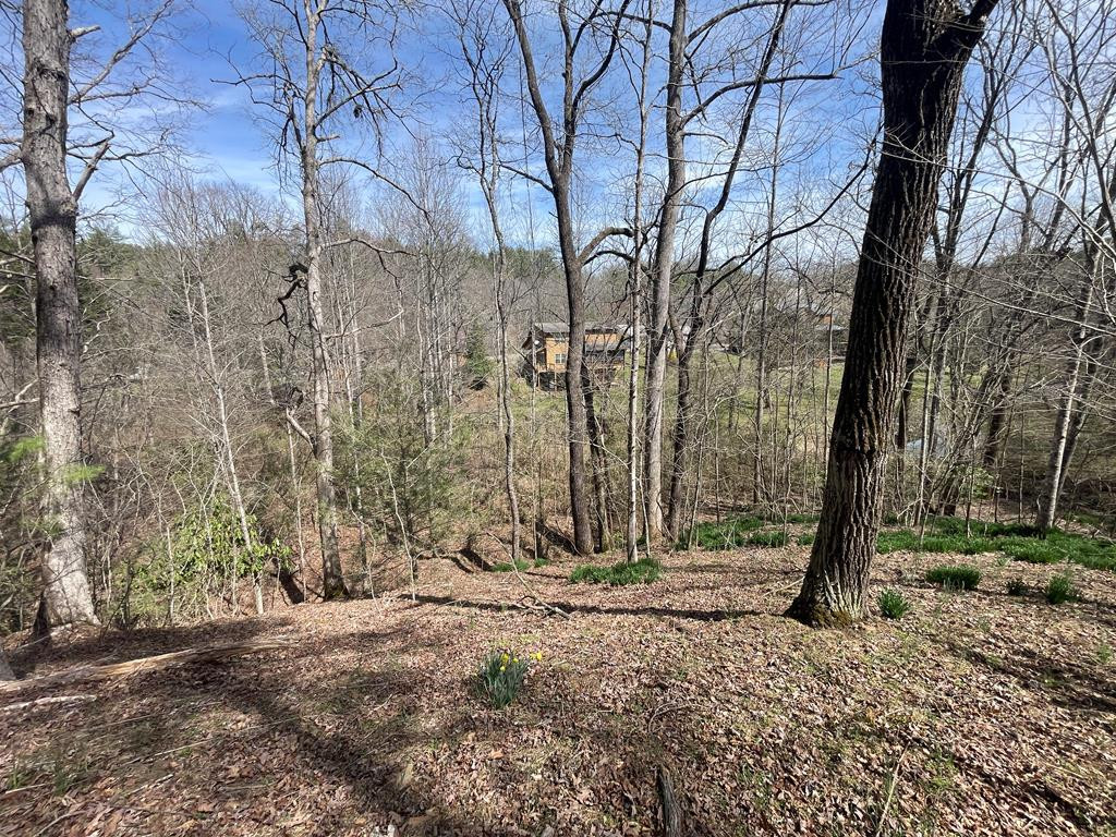 0 Chinquapin Lane