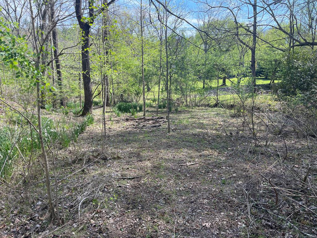 0 Chinquapin Lane