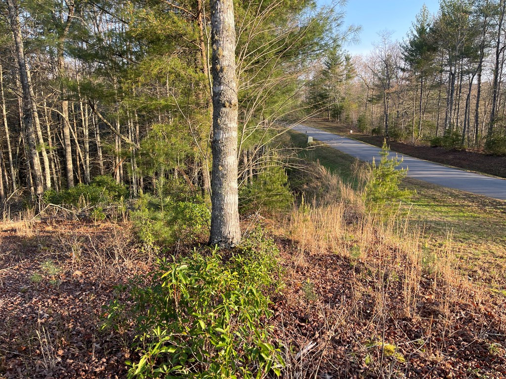 00 River Mountain Road