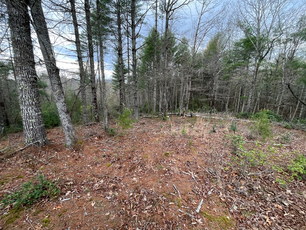 00 River Mountain Road