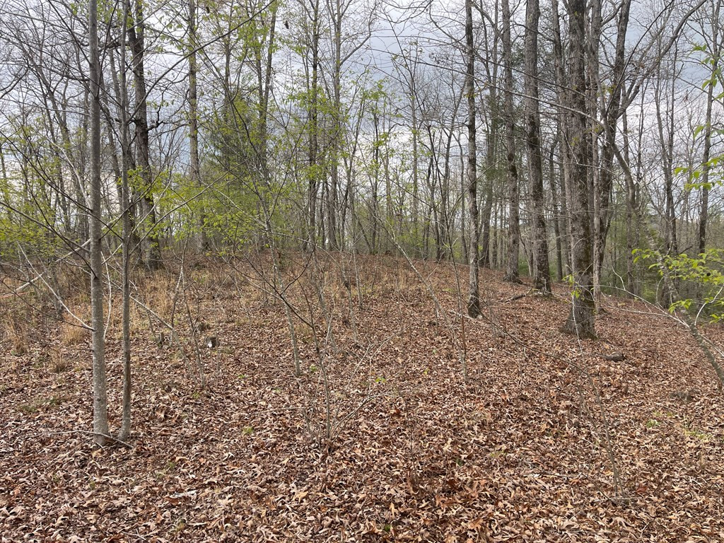 00 River Mountain Road
