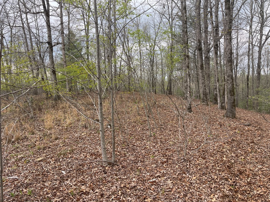 00 River Mountain Road