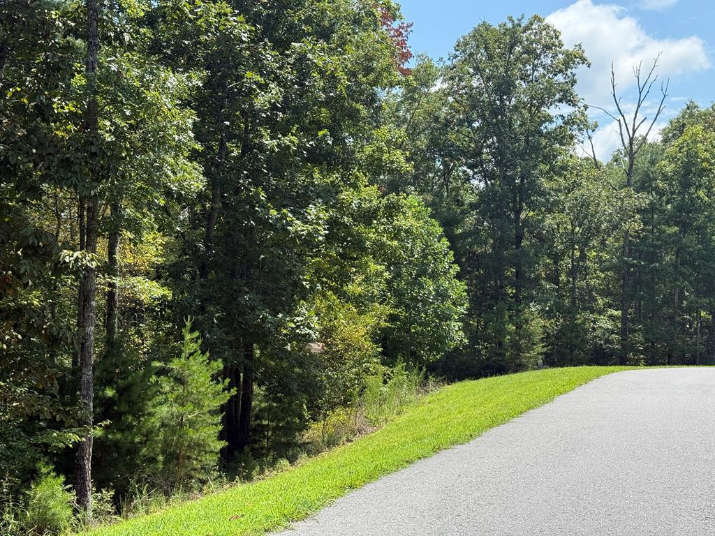 0 River Mountain Road