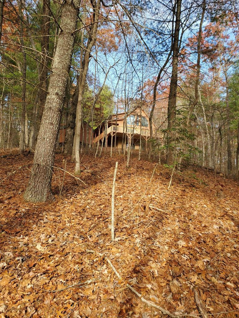 552 Leonard Lane