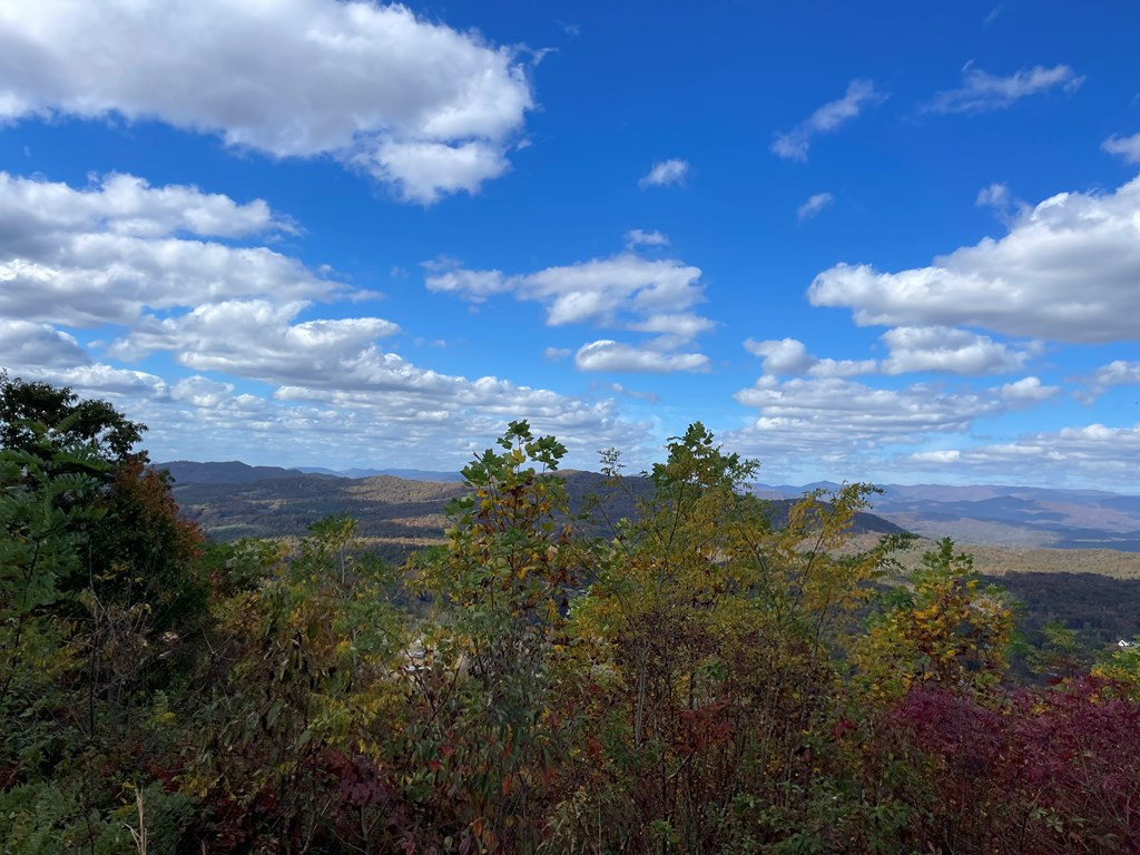 0 Brasstown Heights