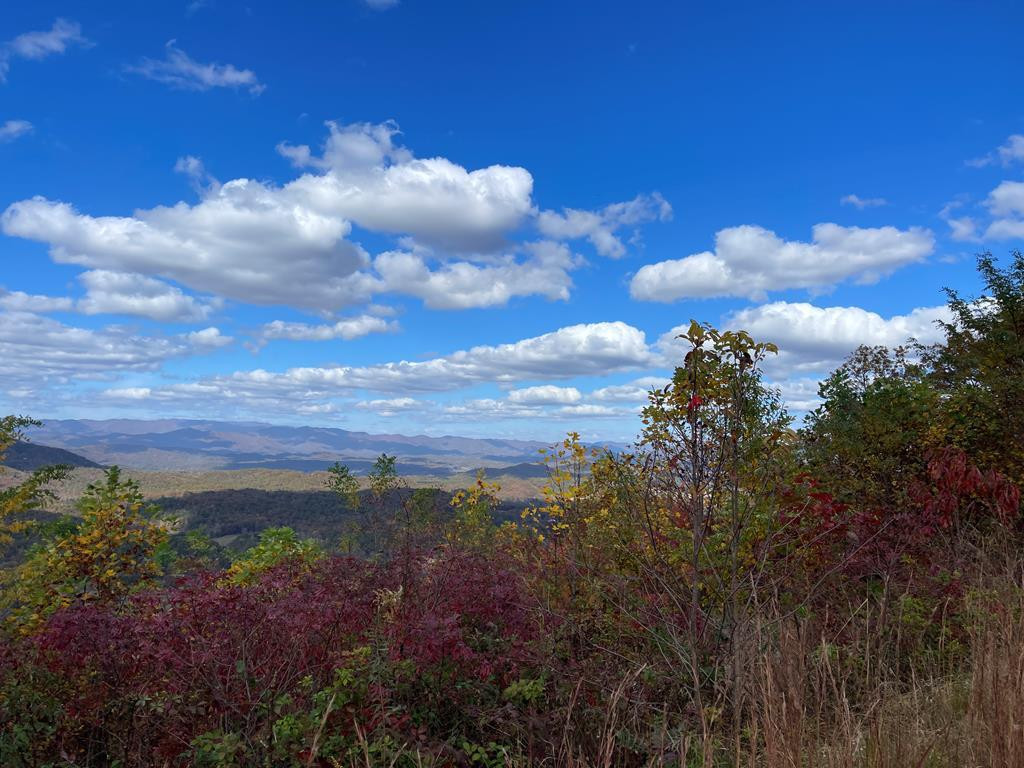 0 Brasstown Heights