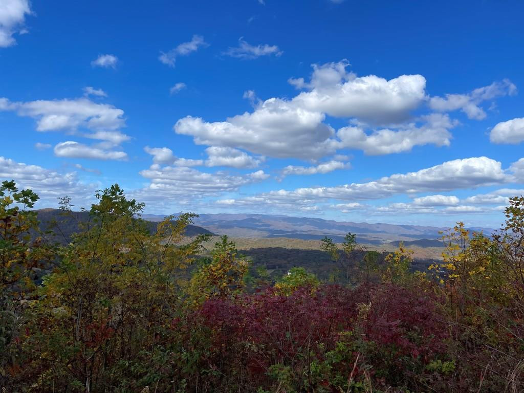 0 Brasstown Heights