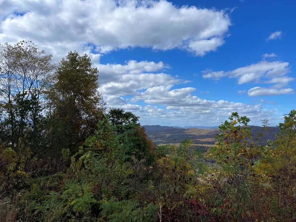 0 Brasstown Heights