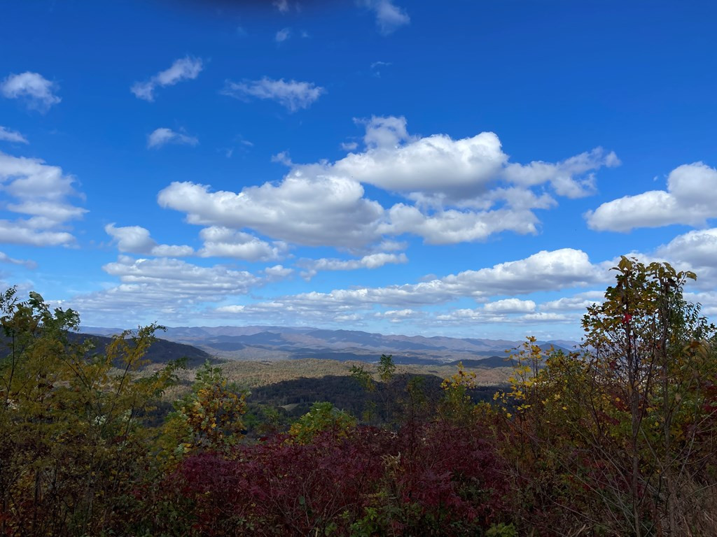 0 Brasstown Heights